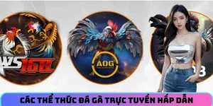 cac-the-thuc-da-ga-truc-tuyen